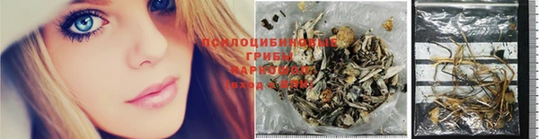 ПСИЛОЦИБИНОВЫЕ ГРИБЫ Нефтекумск