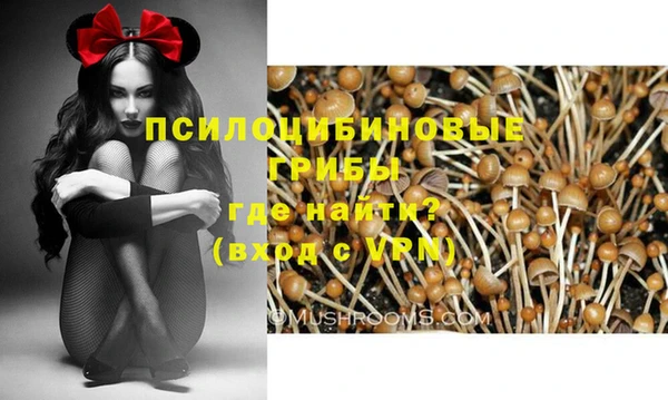 гидропоника Нея