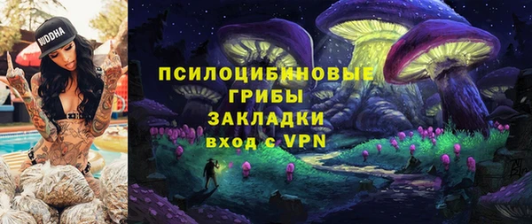 ПСИЛОЦИБИНОВЫЕ ГРИБЫ Нефтекумск