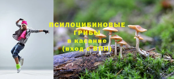 гидропоника Нея